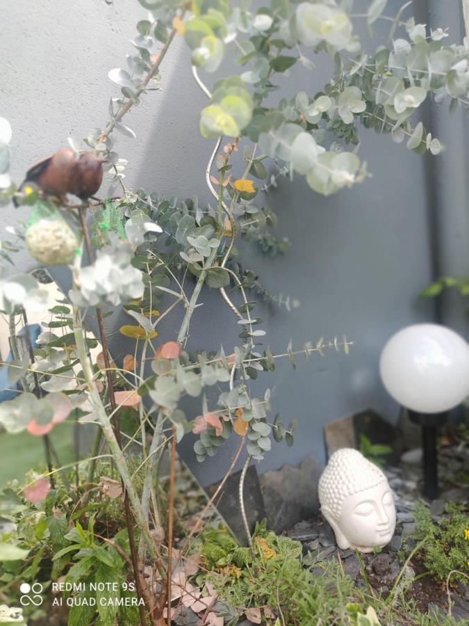 Le Cocon Des Hortillonnages D'Amiens Camon  Екстер'єр фото